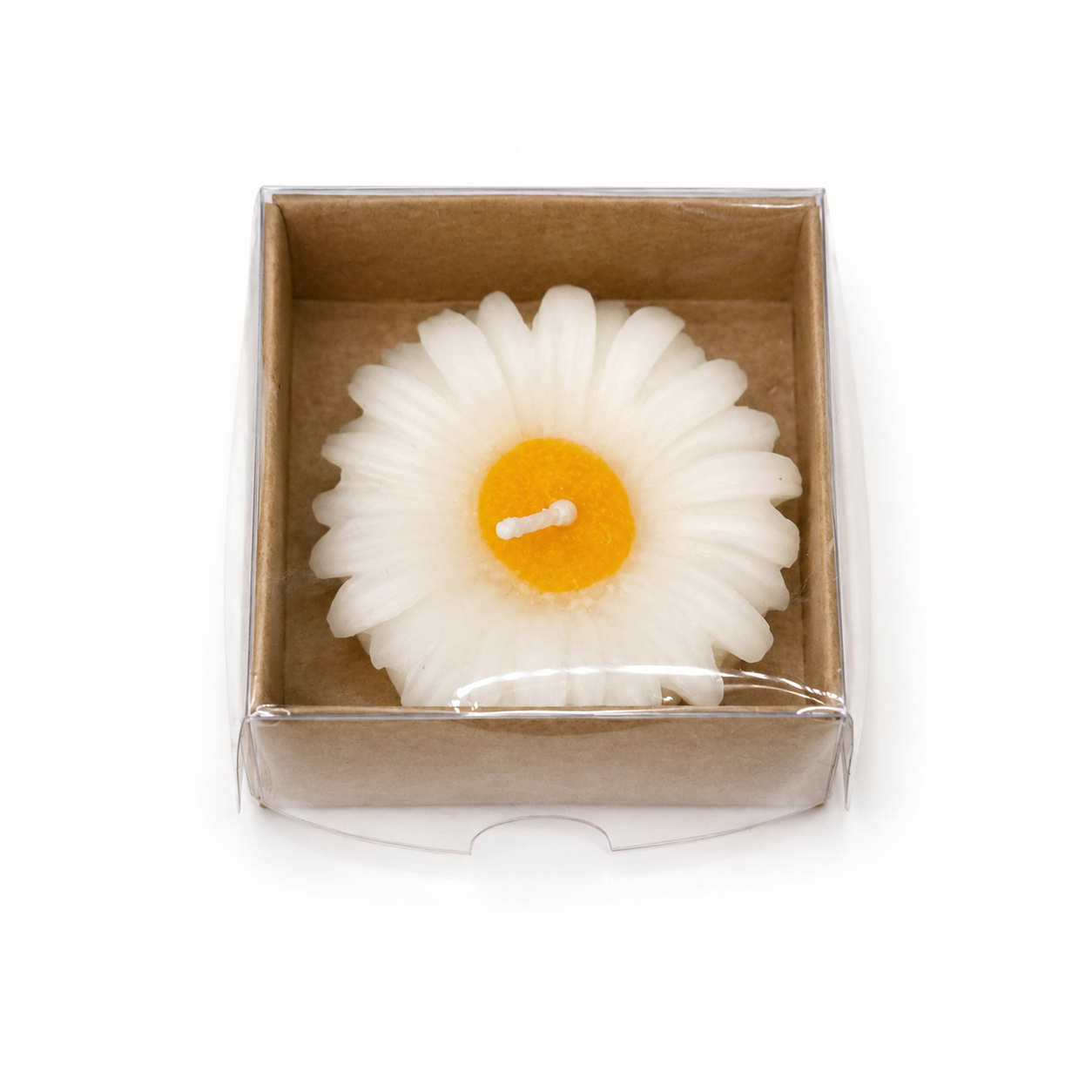 Weiße Gänseblümchen-Kerze in brauner Kraftbox