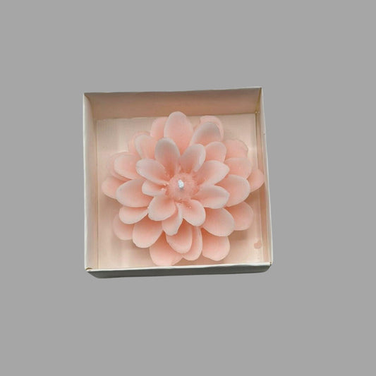 Blütenkerze Rosa Box