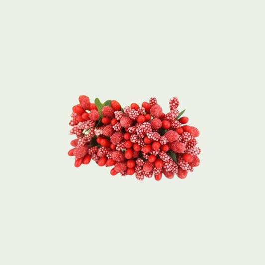 Rotes Beerenbündel
