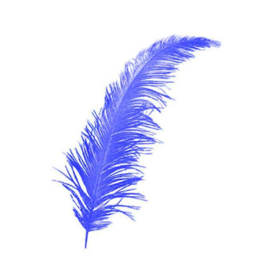 Blaue Pfauenfeder