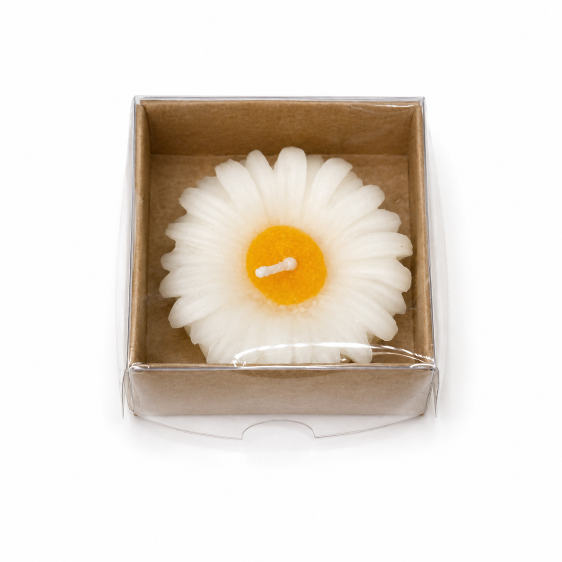 Weiße Gänseblümchen-Kerze in brauner Kraftbox