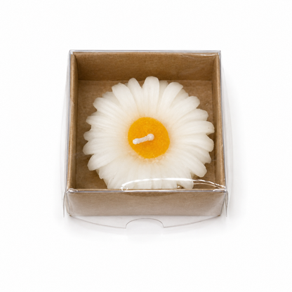 Weiße Gänseblümchen-Kerze in brauner Kraftbox
