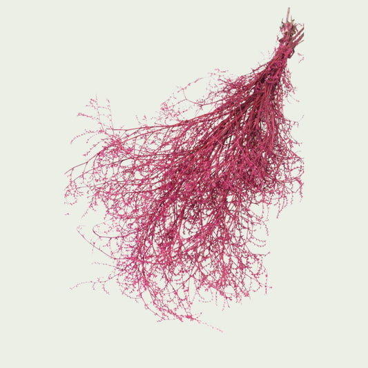 Rot-rosa Trockenblumenstrauß