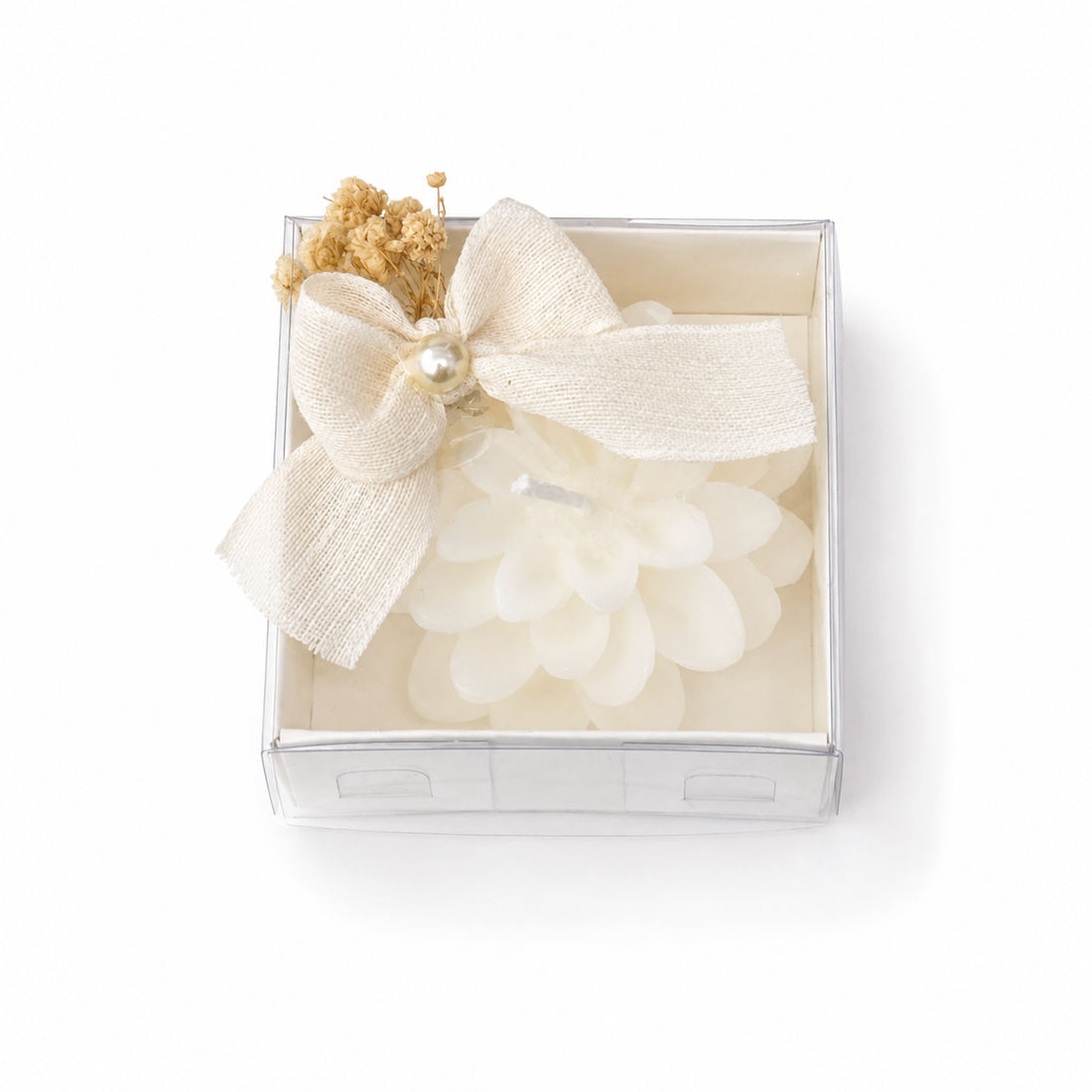 Weiße Blütenkerze in transparenter Box mit Schleife und Trockenblumen