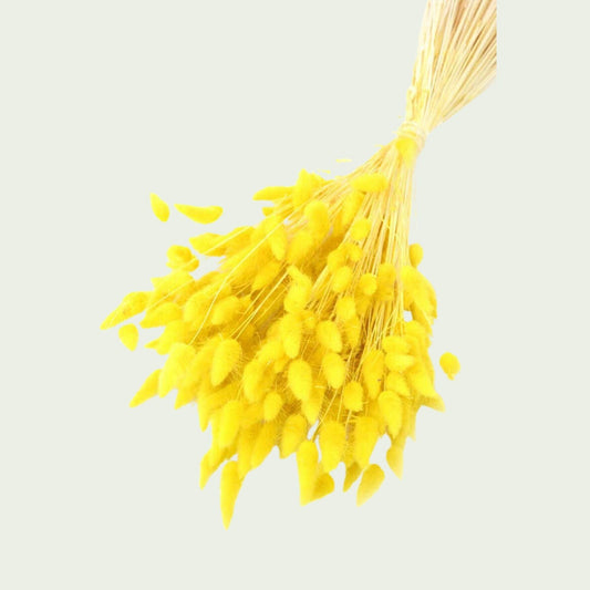Gelbes Trockenblumenbündel
