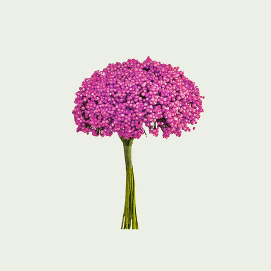 Rosa Blütenstrauß
