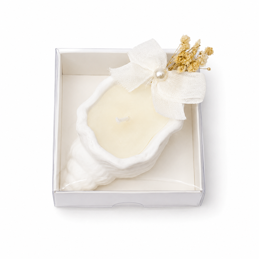 Weiße Muschelkerze in transparenter Box mit Schleife und Trockenblumen