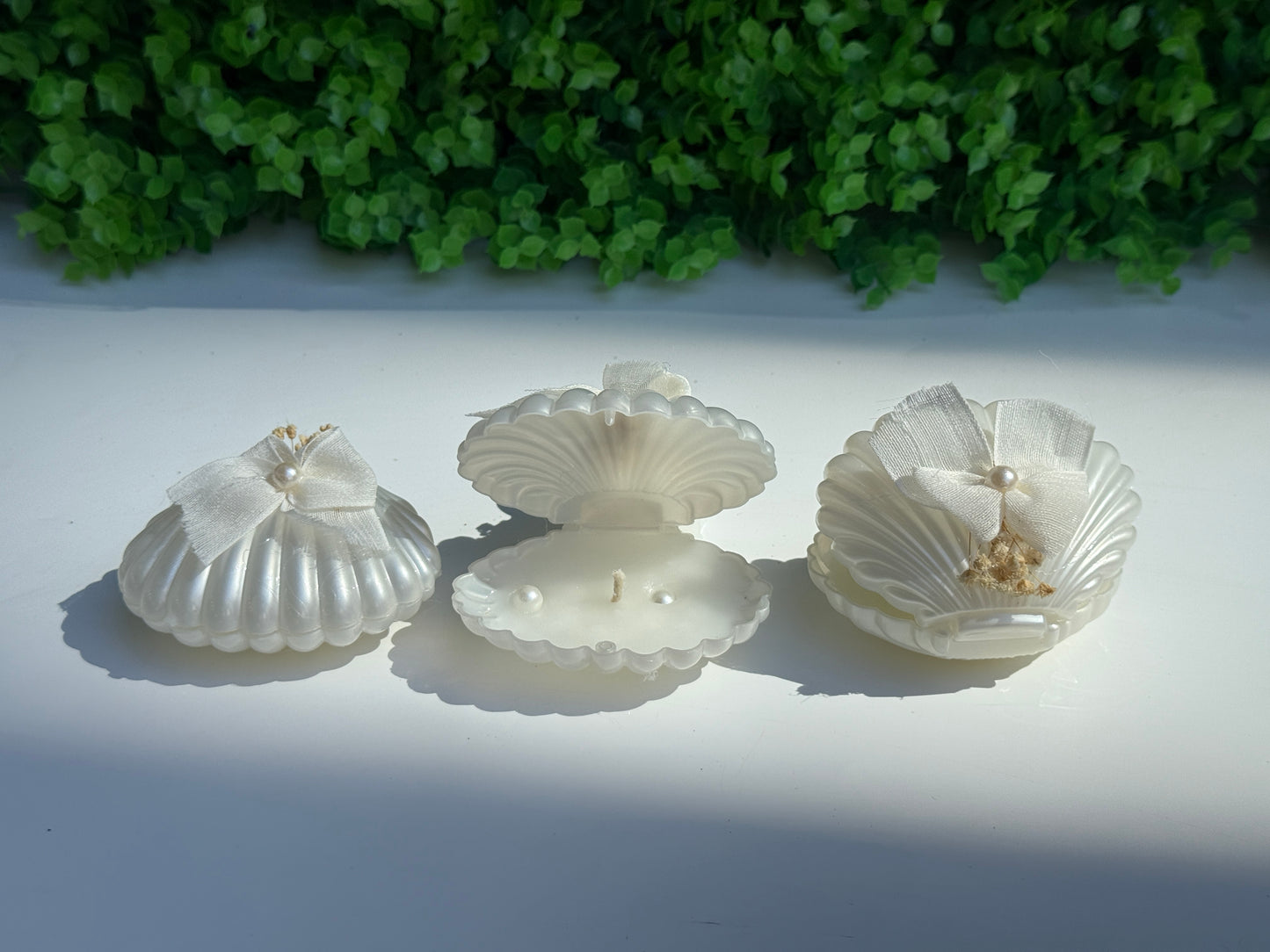 Muschelkerze – Stilvolle Deko- und Geschenkidee im Meeresstil ( für 50 Gäste )
