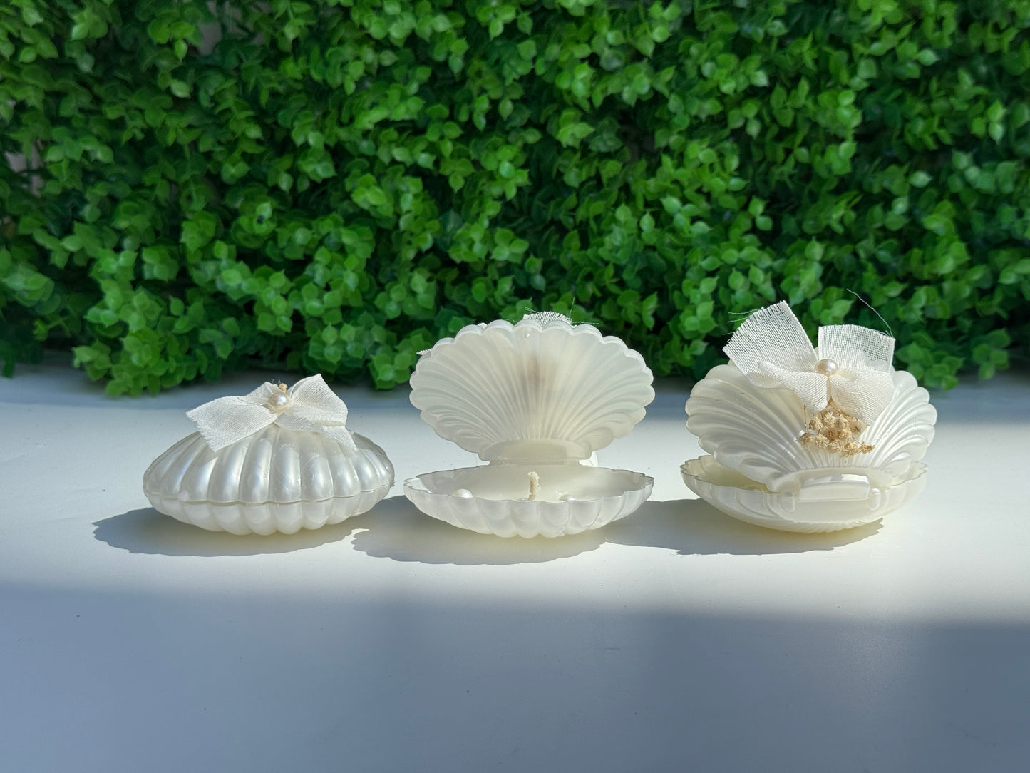 Muschelkerze – Stilvolle Deko- und Geschenkidee im Meeresstil ( für 50 Gäste )