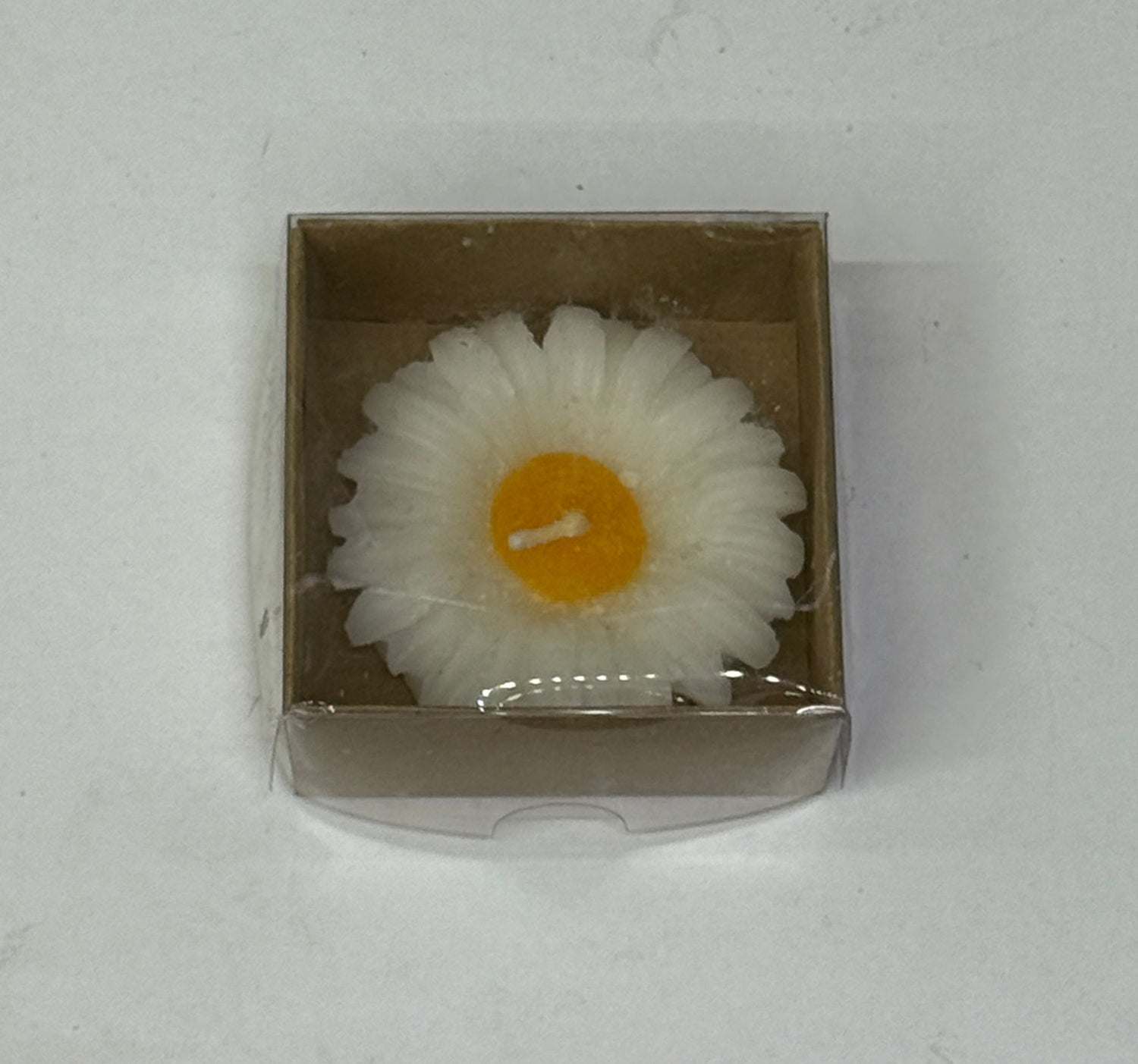 Weiße Gänseblümchen-Kerze in brauner Kraftbox