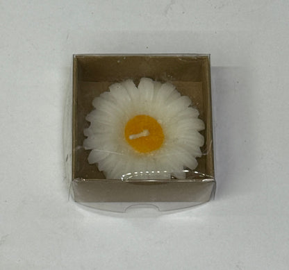 Weiße Gänseblümchen-Kerze in brauner Kraftbox